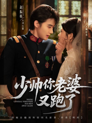 【少帅你老婆又跑了】82集短剧畅快观看无压力