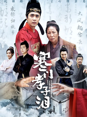 【寒门孝子泪】31集短剧全集手机轻松看