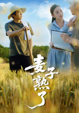 【麦子熟了】52集短剧精彩片段随时看