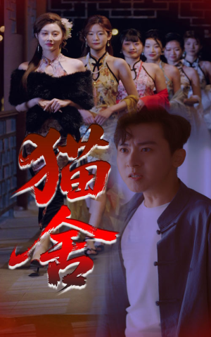 【猫舍】34集精彩短剧在线免费看