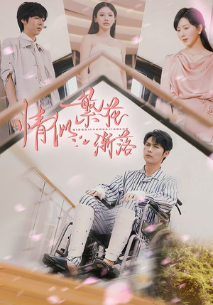 【情似繁花渐落】62集短剧手机随时看