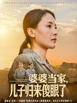 【婆婆当家儿子归来傻眼了】80集精彩短剧在线看