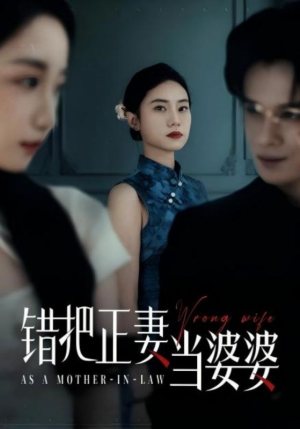 【错把正妻当婆婆】46集短剧全集观看不卡顿