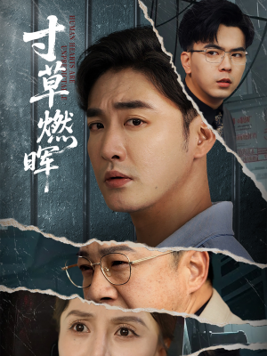 【寸草燃晖】70集高清短剧随心看