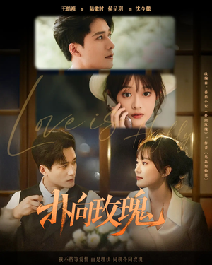 【扑向玫瑰】77集短剧全集解锁自由看