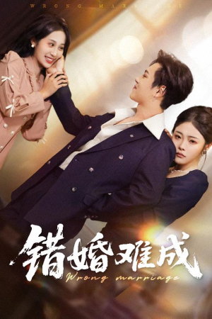 【错婚难成】45集精彩短剧在线看