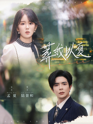 【葬我以夏】73集短剧手机观看无广告