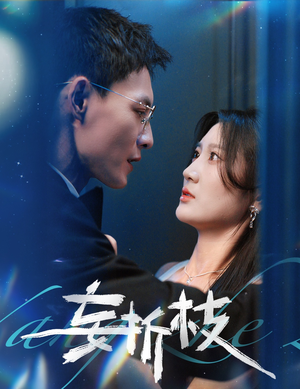 【妄折枝】53集短剧大全尽情看
