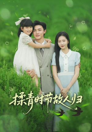 【揉青时节故人归】60集短剧独家观看