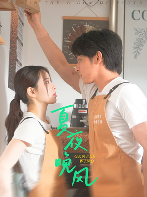 【夏夜晚风】12集短剧随时悦看