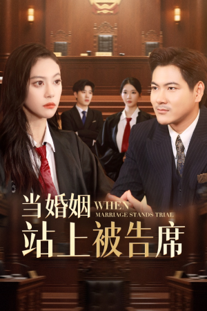【当婚姻站上被告席】30集短剧随时随地随心看
