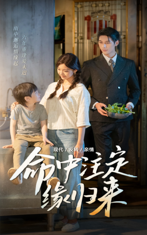 【命中注定缘归来】63集精彩短剧随心看