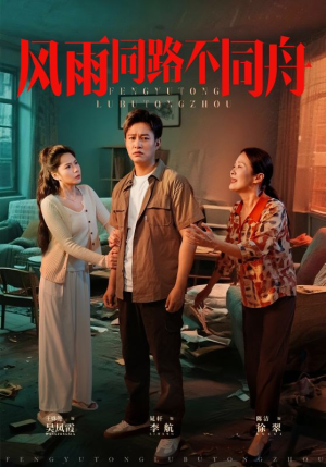 【风雨同居不同舟】32集精彩短剧在线看