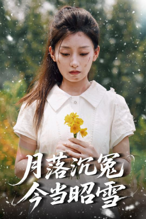 【月落沉冤今当昭雪】60集短剧高清流畅观看