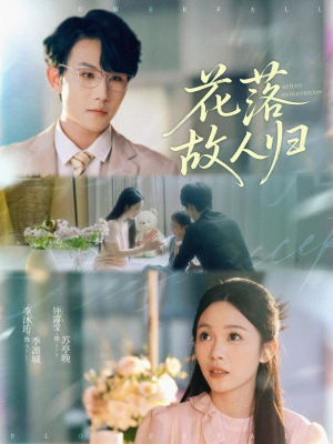 【花落故人归】66集短剧高清大片观看