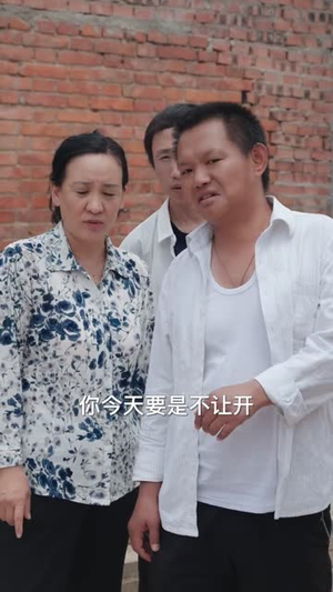【逍遥小村医】84集短剧全集一口气看完