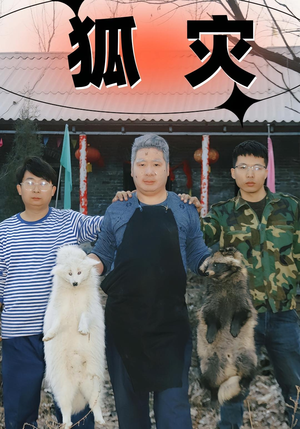 狐灾（25集）精彩短剧合集