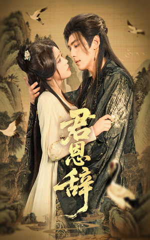 君恩辞（60集）好看吗