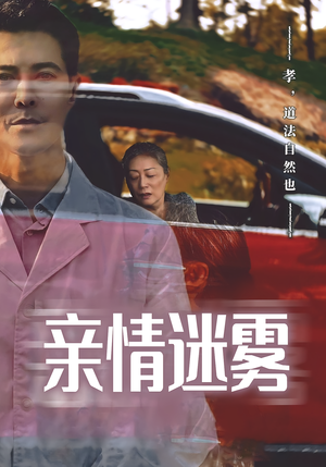 【亲情迷雾】30集短剧高清全集必看