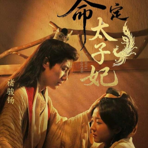命定太子妃（63集）温柔追捕短剧