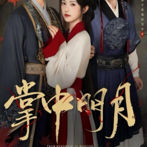 掌中明月（60集）男主角是谁