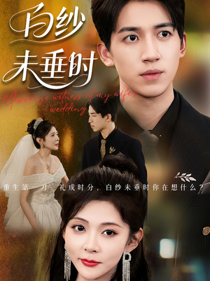 老婆婚礼，我当证婚人&老婆婚礼我当证婚人&白纱未垂时（54集）全集免费看短剧
