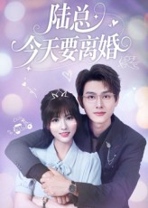 【陆总今天要离婚】81集线上免费短剧全集赏
