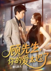顾先生你的爱太迟了（60集）短剧分享片段