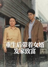 【重生后带着女婿发家致富】41集短剧在线免费观赏
