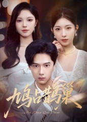 鸠占鹊巢&顶流夫人的致命陷阱（70集）热门短剧追到爽