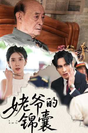 【姥爷的锦囊】63集短剧在线观看无广告