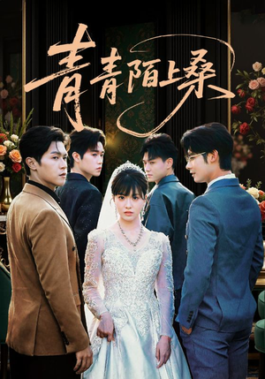 【青青陌上桑】70集短剧在线免费观看无广告