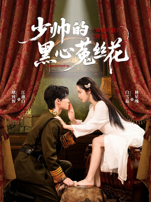 【少帅的黑心菟丝花】60集在线短剧免费畅看