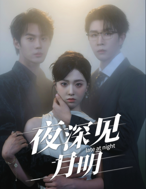 【夜深见月明】50集短剧在线免费观看
