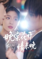 【晚棠花开情未晚】30集短剧在线免费完整观