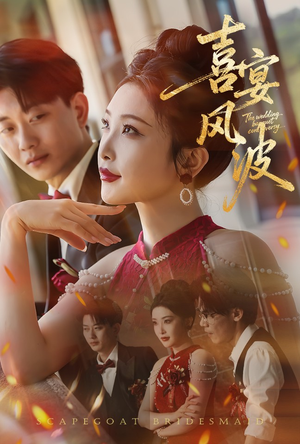 【喜宴风波&替罪伴娘】30集短剧免费在线全集赏看