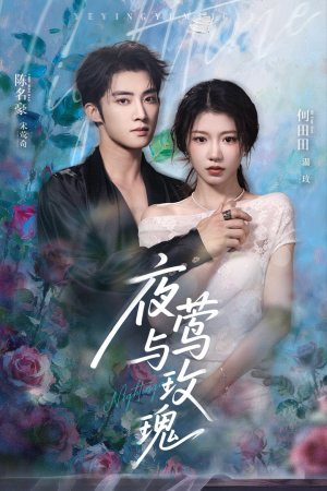 【夜莺与玫瑰】66集短剧免费全集速来观