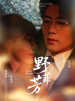 野芳菲（60集）全集免费看短剧