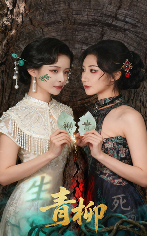 青柳（79集）看到大结局