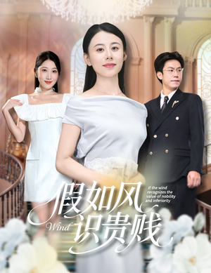 【假如风识贵贱】58集免费短剧在线完整赏