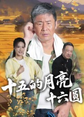 十五的月亮十六圆（60集）一口气追完全集