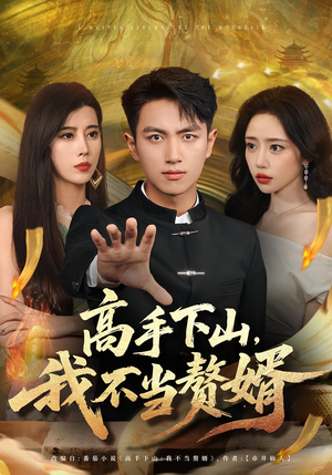 【高手下山我不当赘婿】66集短剧在线高清播放