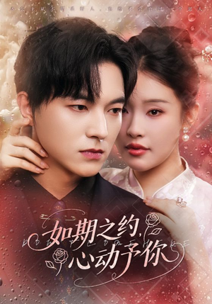 【如期之约心动予你】82集短剧免费全集瞧看
