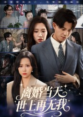 【离婚当天世上再无我】60集短剧在线免费高清看