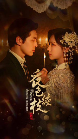【夜色缠枝百度HE版本】62集短剧全集免费在线播放