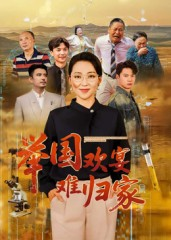 【举国欢宴难归家】40集免费短剧在线速看