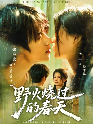 野火烧过的春天(85集) 野火烧过的春天(85集)爱短剧爱追剧