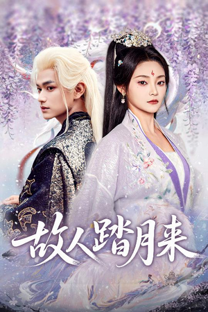 【故人踏月来】60集短剧完整版在线免费赏