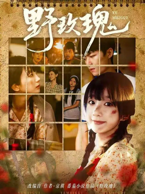 【野玫瑰】82集短剧全集免费在线观