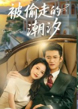 【被偷走的潮汐】60集短剧在线免费畅看